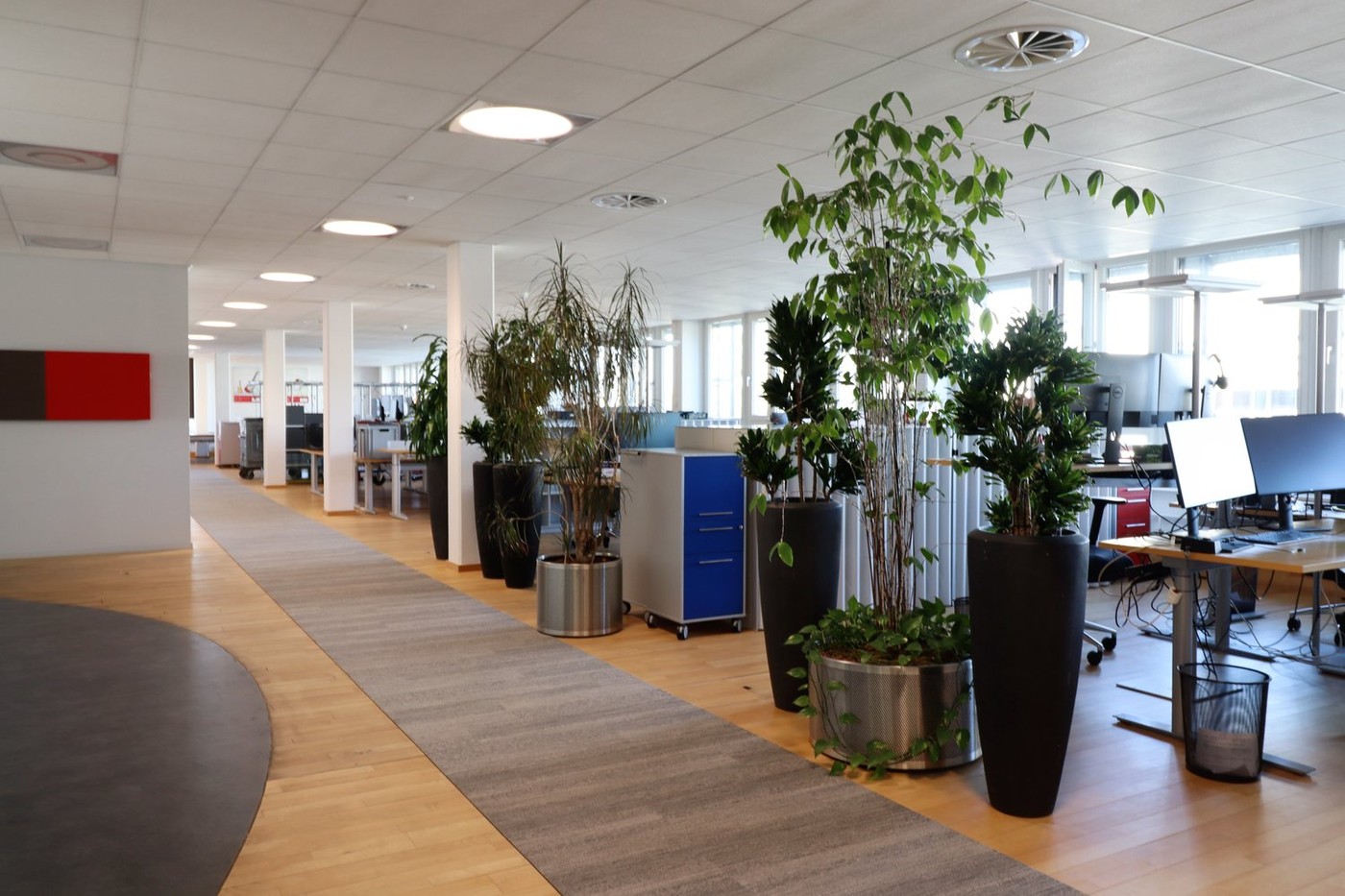 4376m² bureau