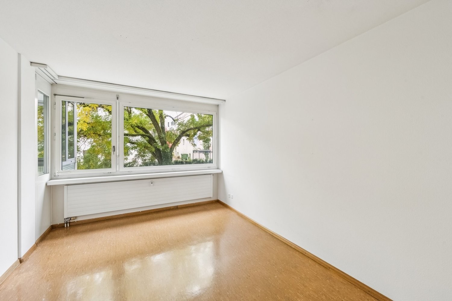 81m² commercial
