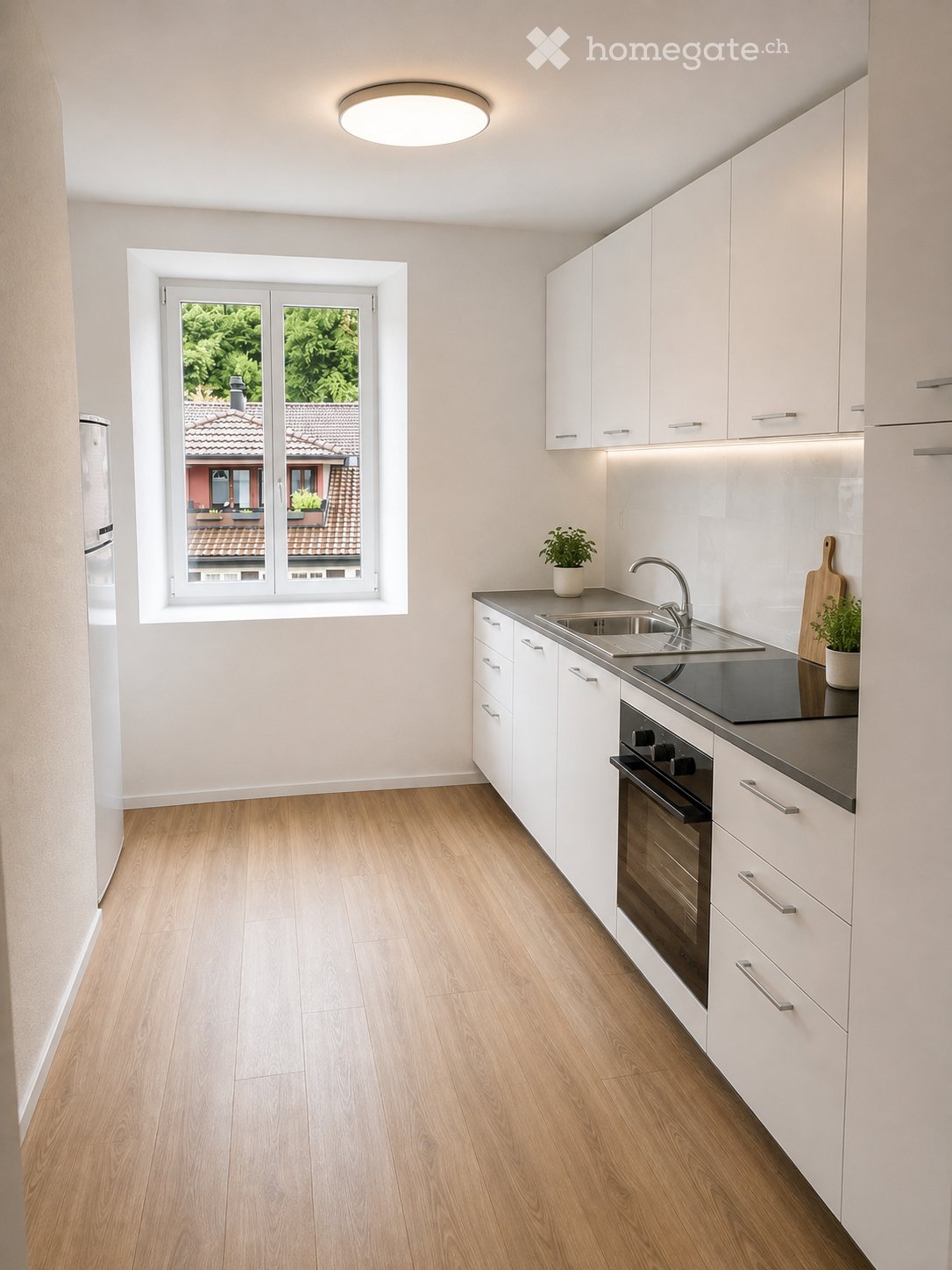 3 ½ Zimmer Wohnung