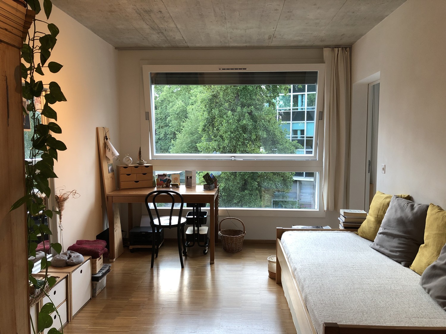 Room in a shared flat