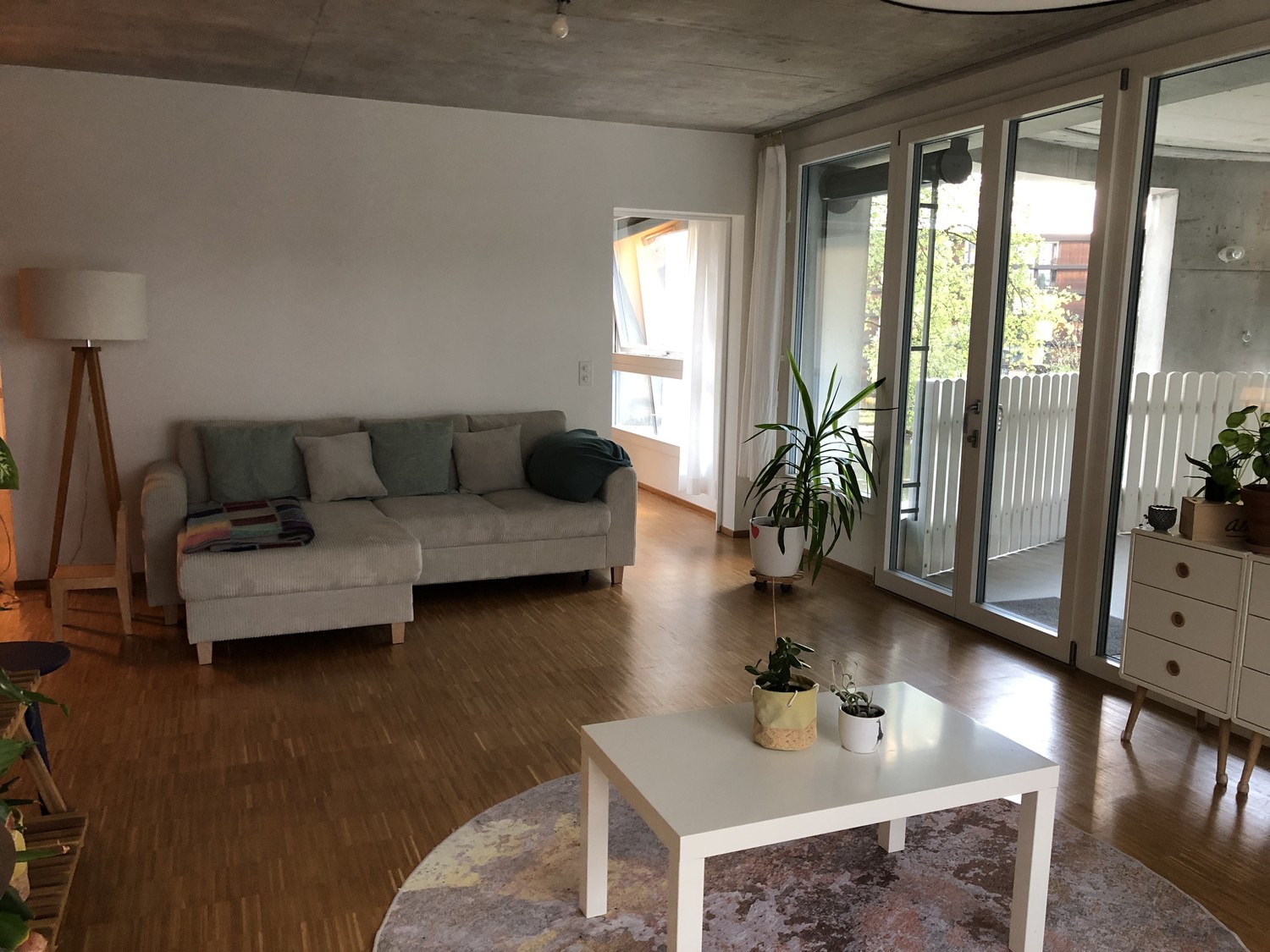 Room in a shared flat