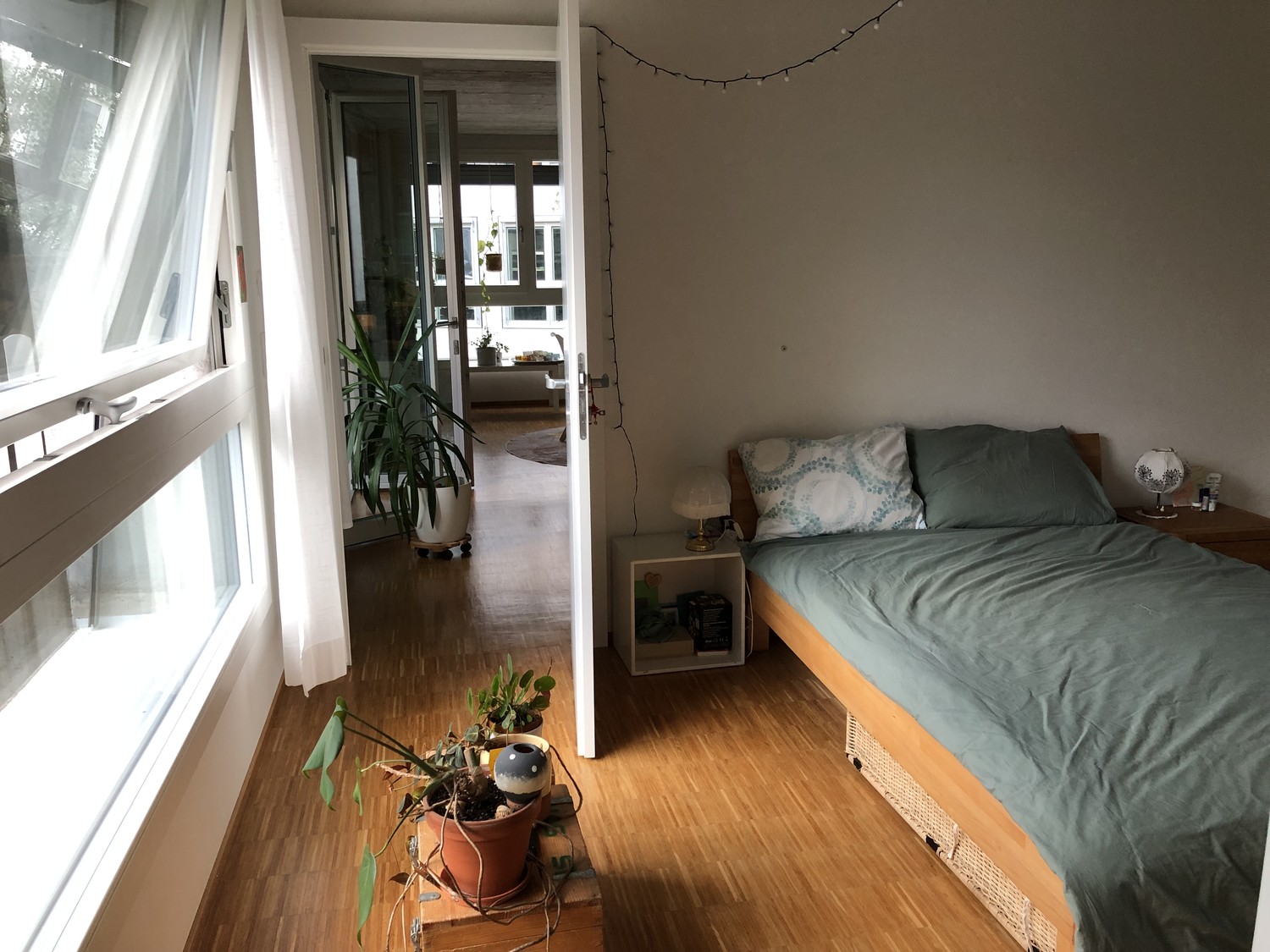 Room in a shared flat