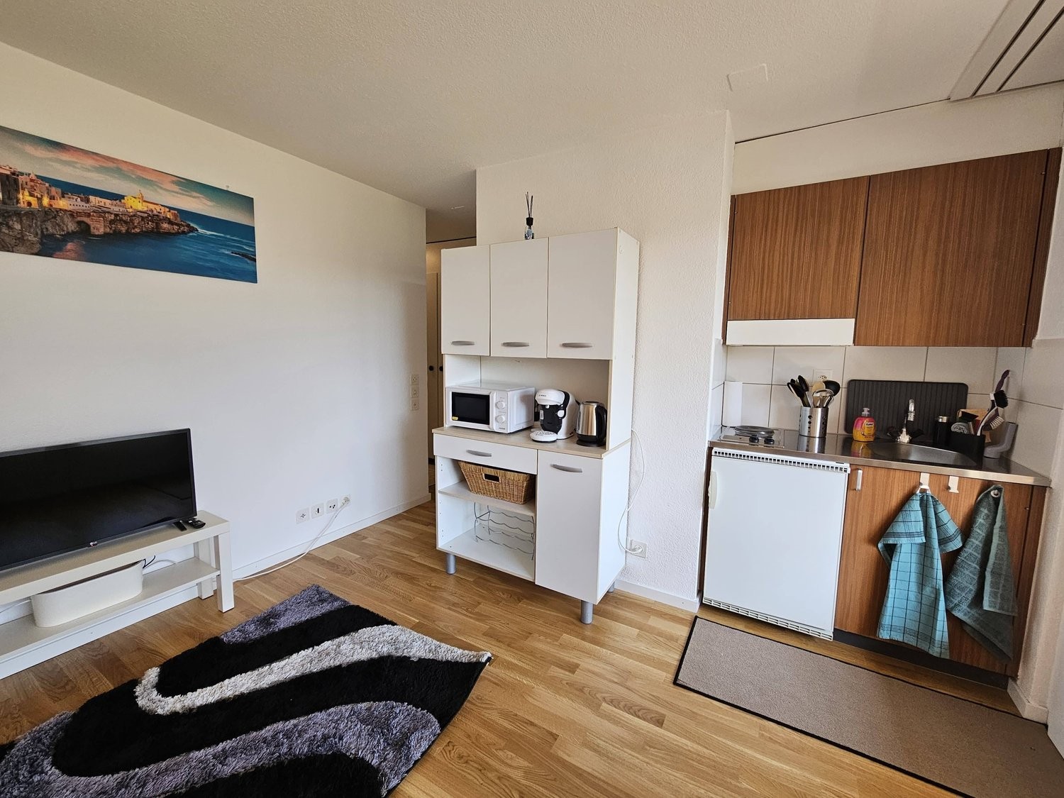 1 room furnished flat