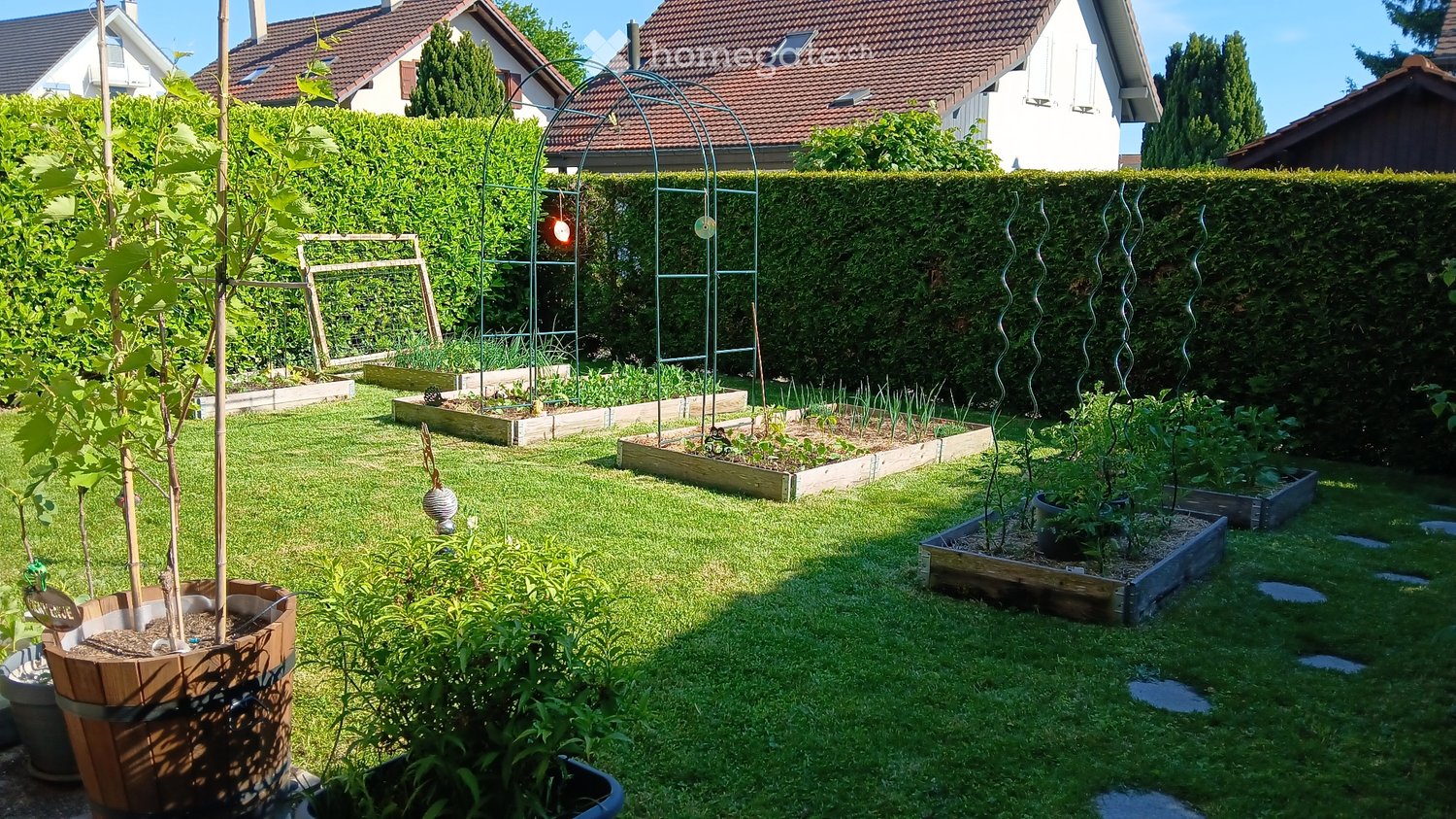3 ½ Zimmer Wohnung