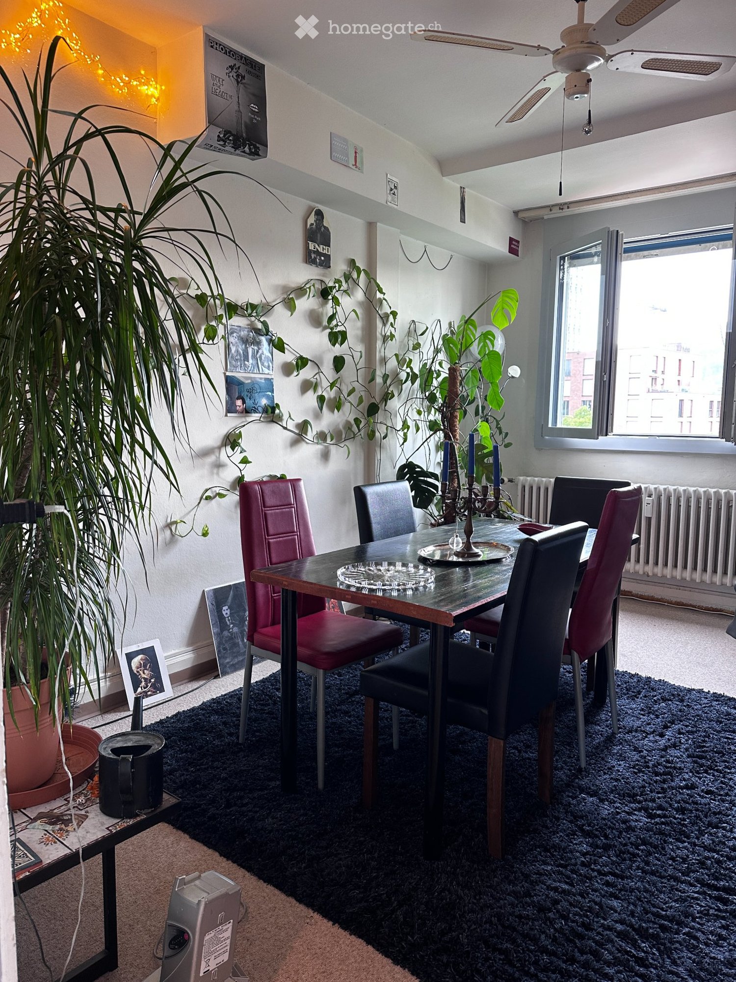1 room single room