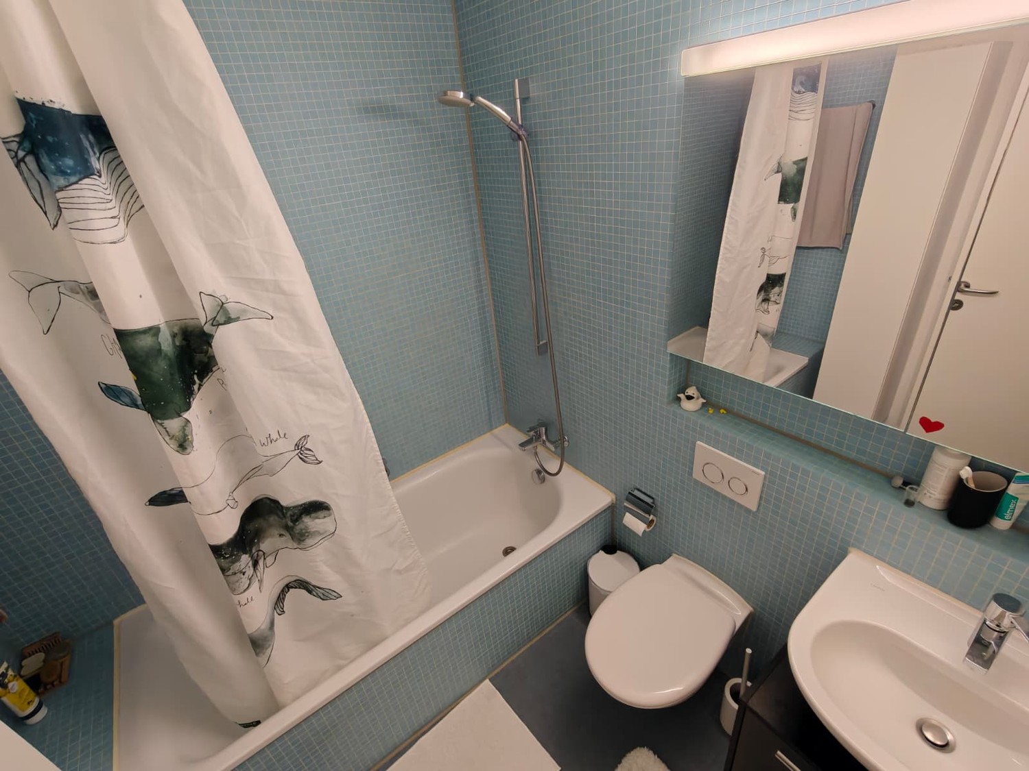 Room in a shared flat