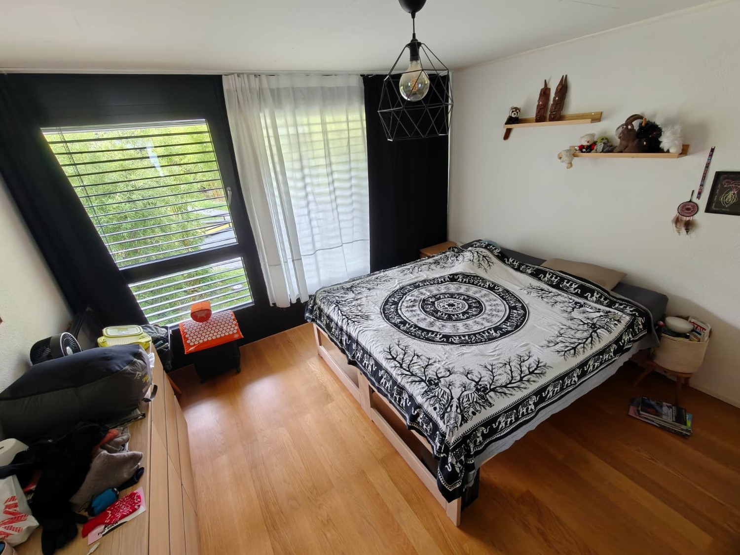 Room in a shared flat
