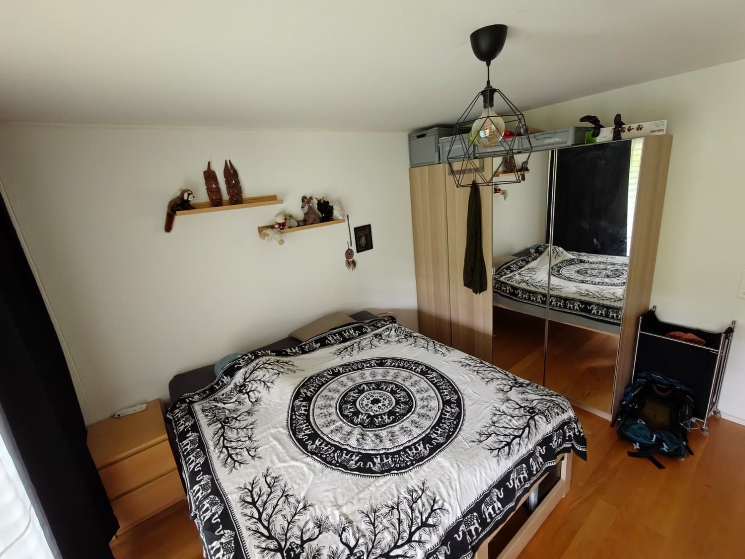 Room in a shared flat