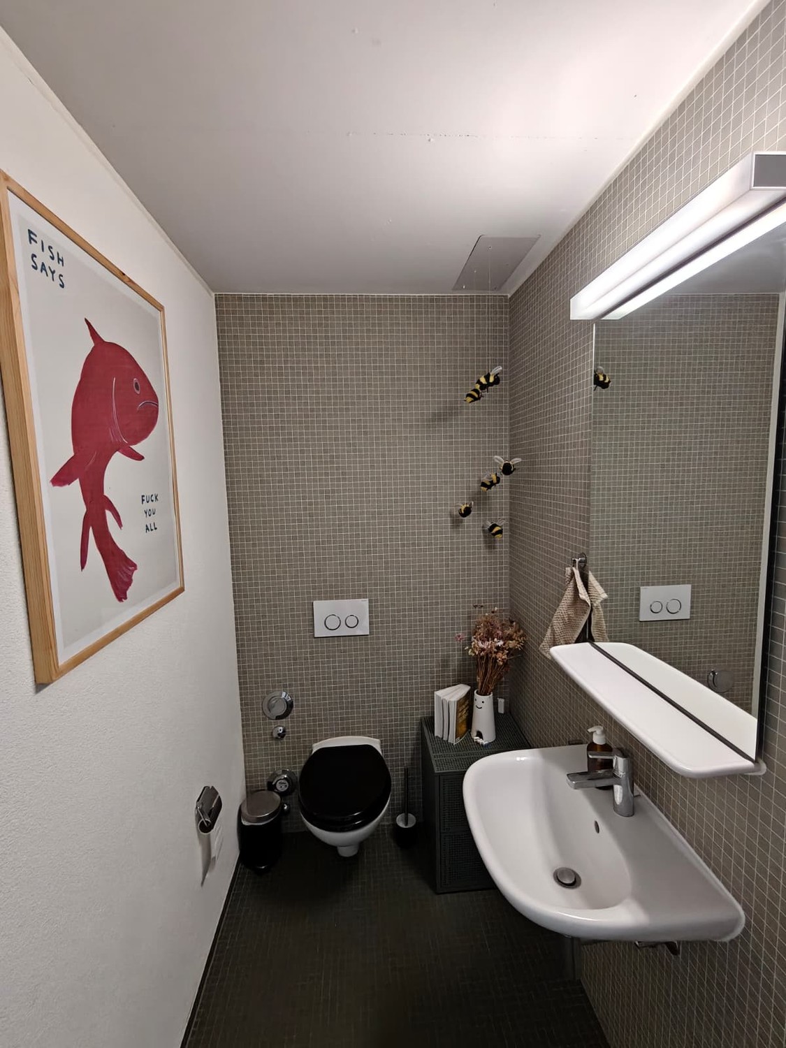Room in a shared flat