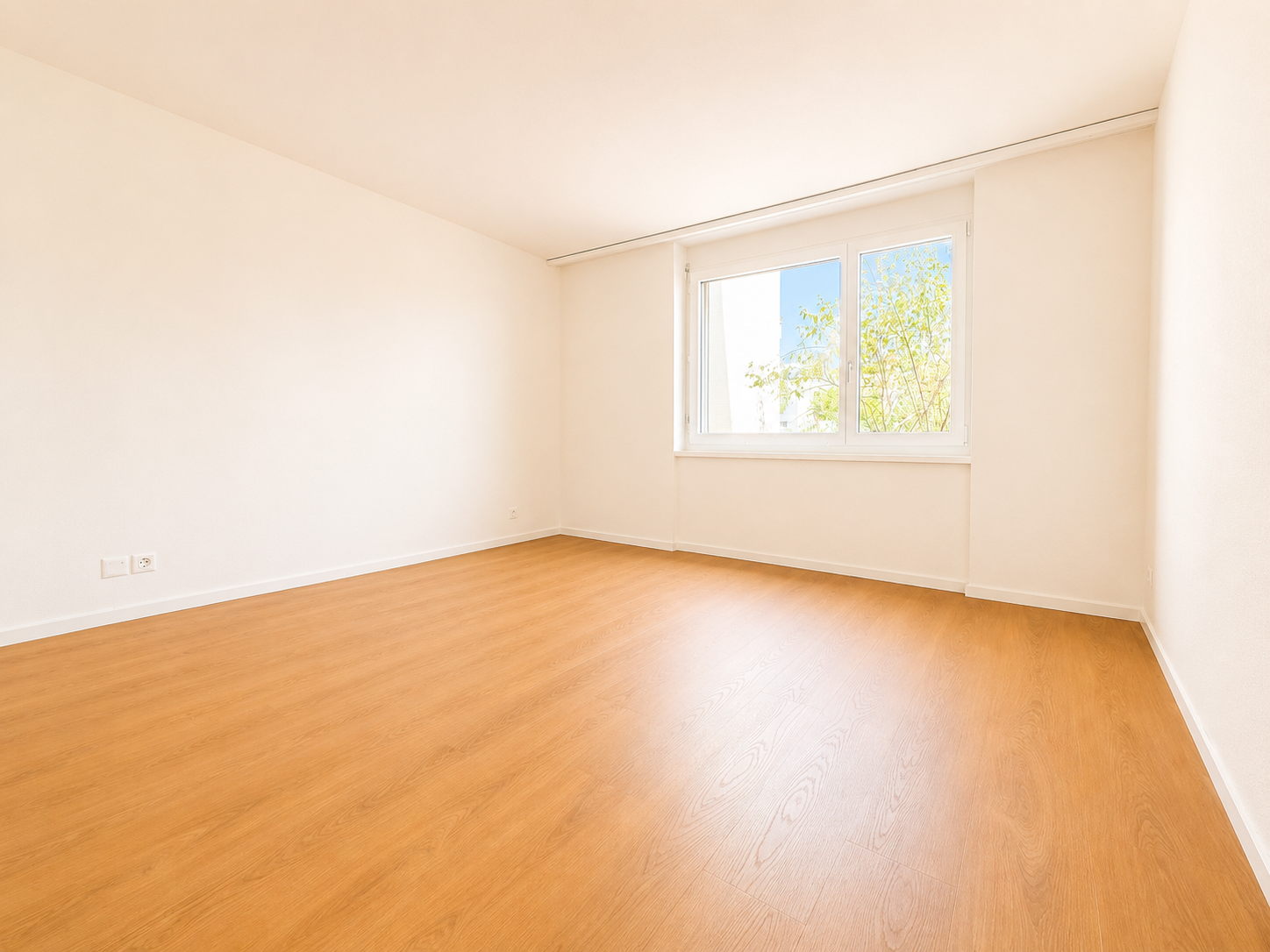 4 ½ rooms apartment