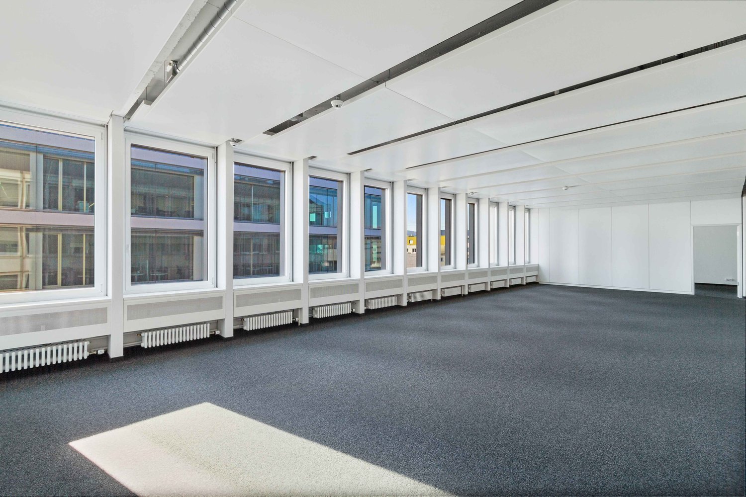 146m² office