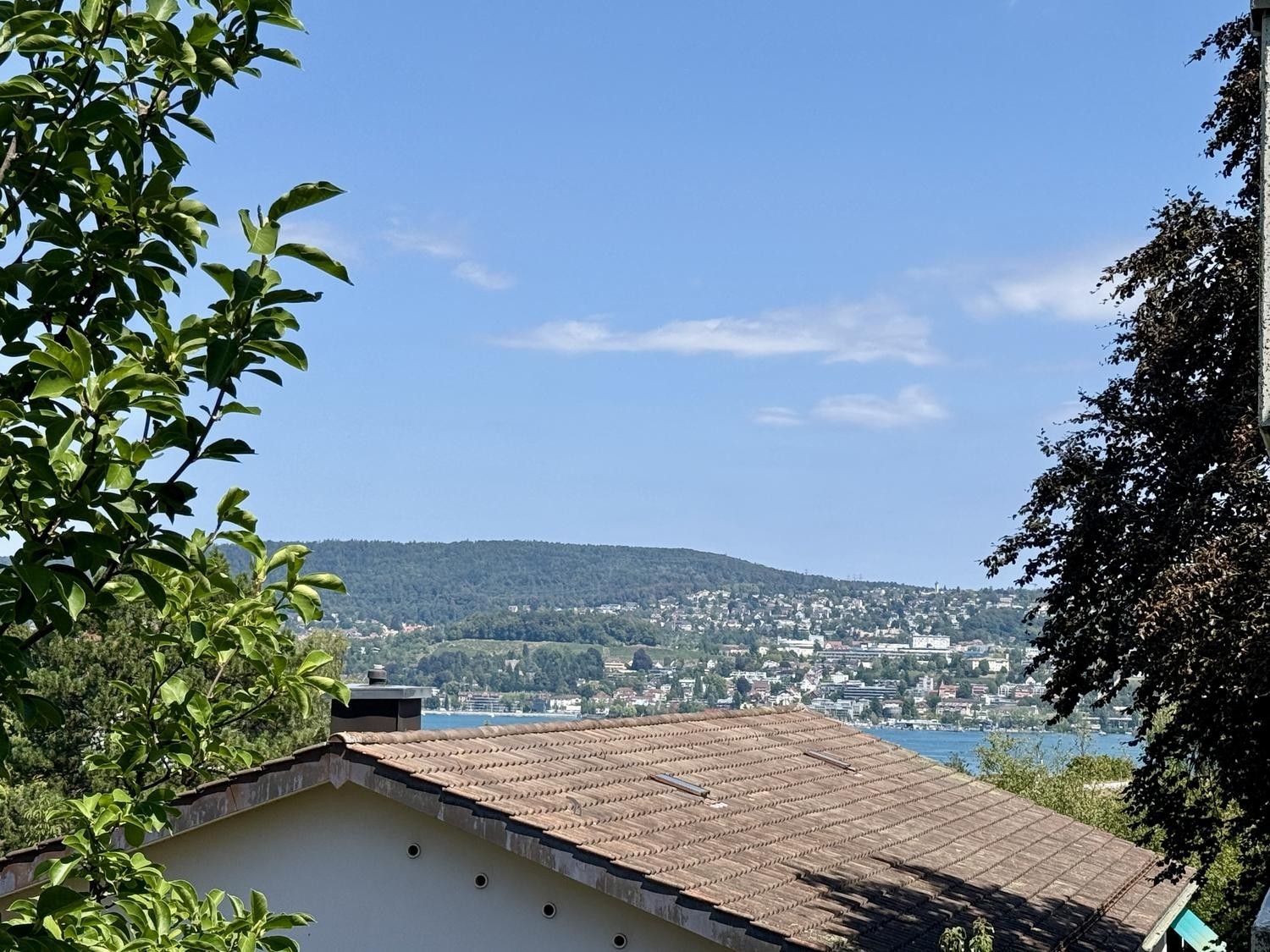 Appartement de 1 ½ pièce