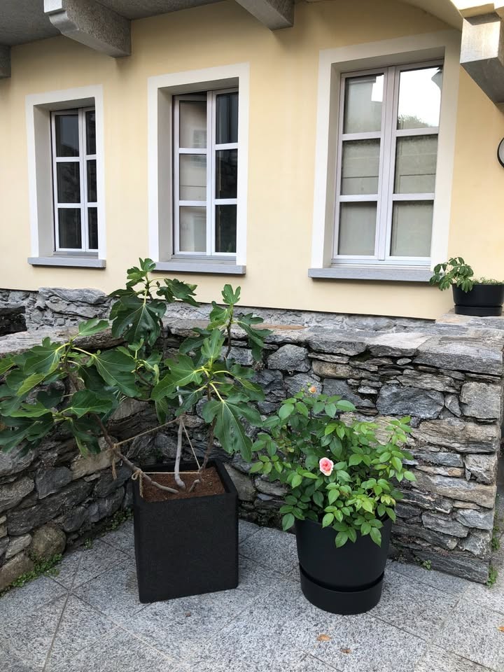 2 ½ Zimmer Wohnung