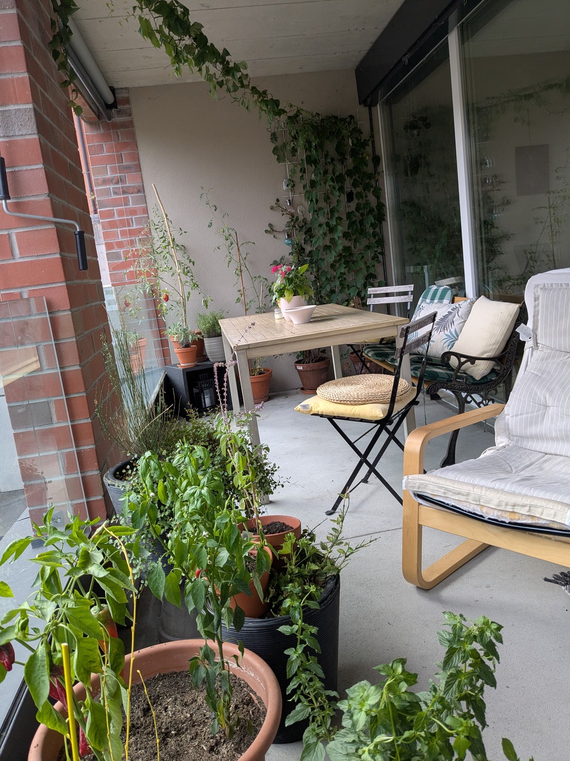 Room in a shared flat