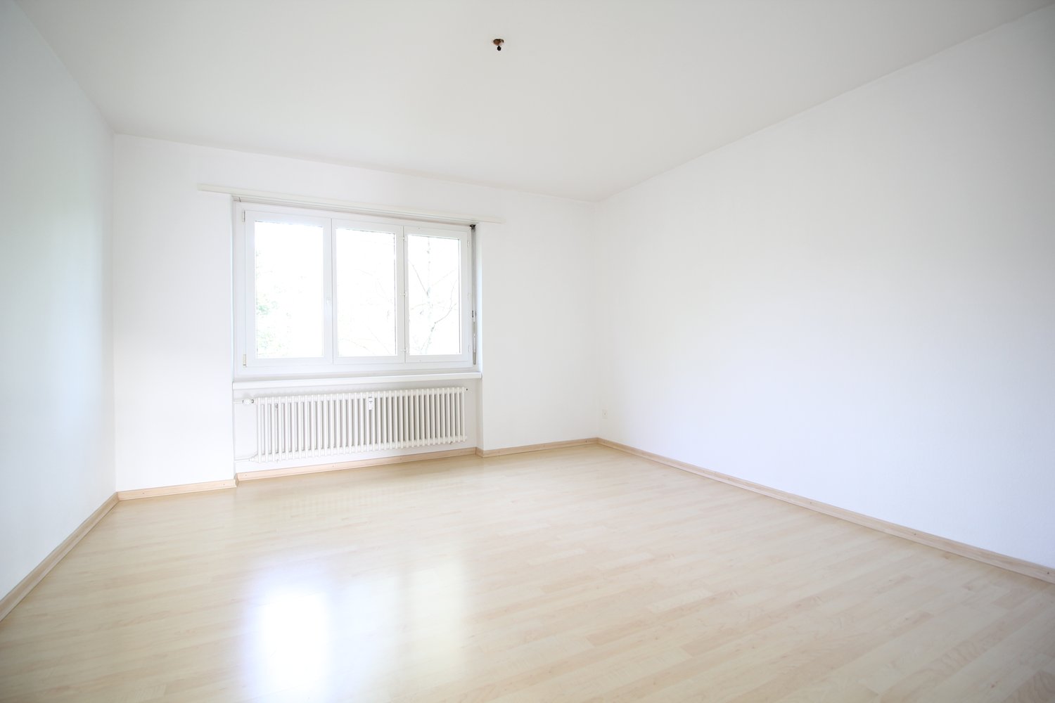 3 rooms apartment