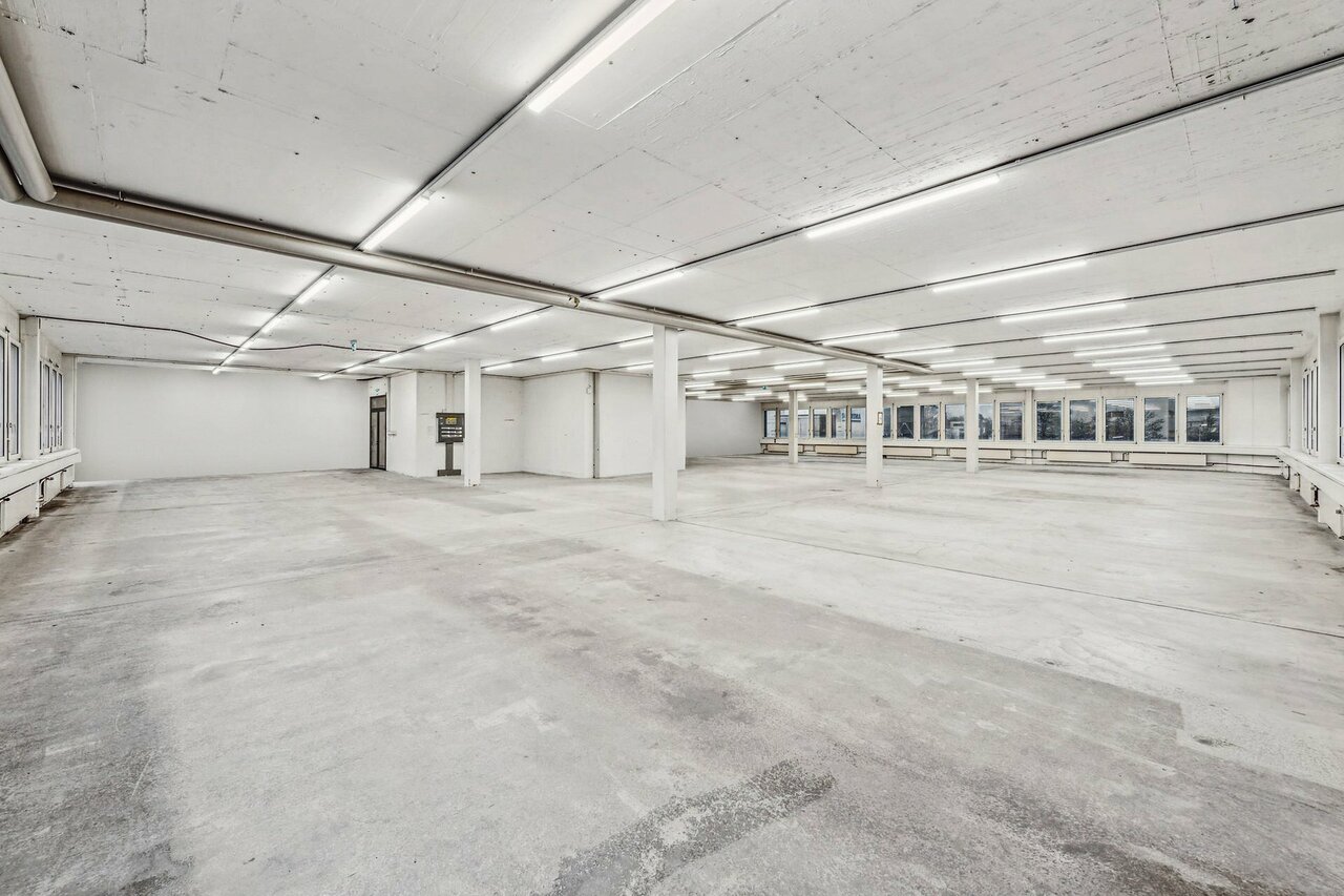 631m² commerciale