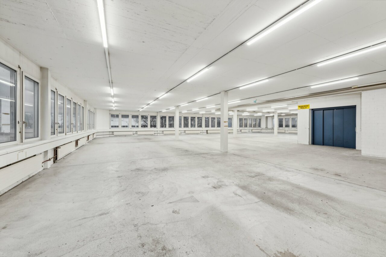 631m² commerciale