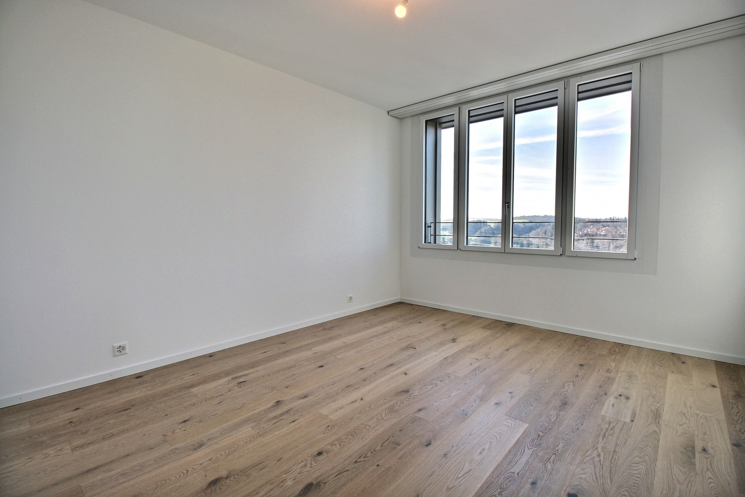 4 ½ Zimmer-Wohnung