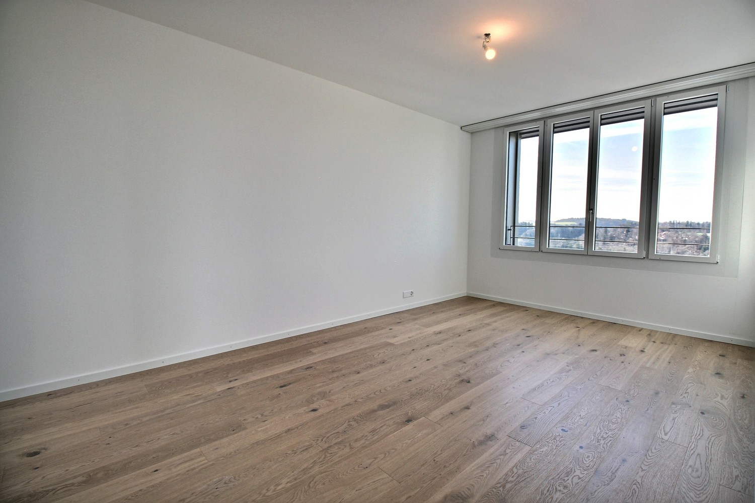 4 ½ Zimmer-Wohnung