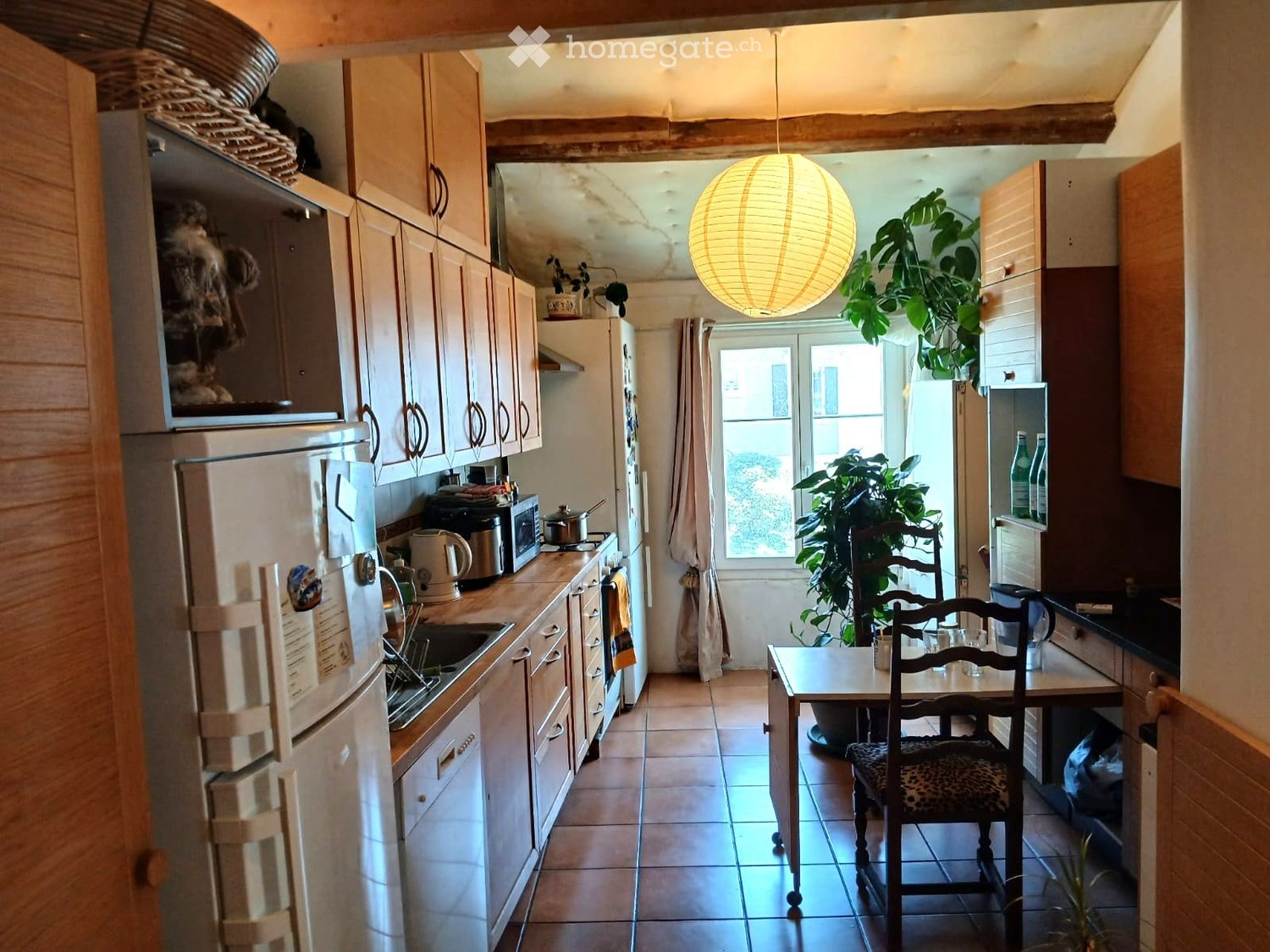 1 Zimmer Einzelzimmer