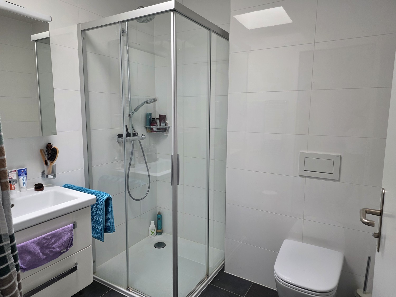 3 ½ Zimmer Wohnung