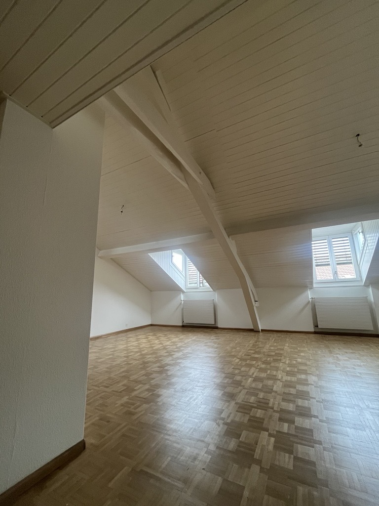 4 ½ rooms apartment