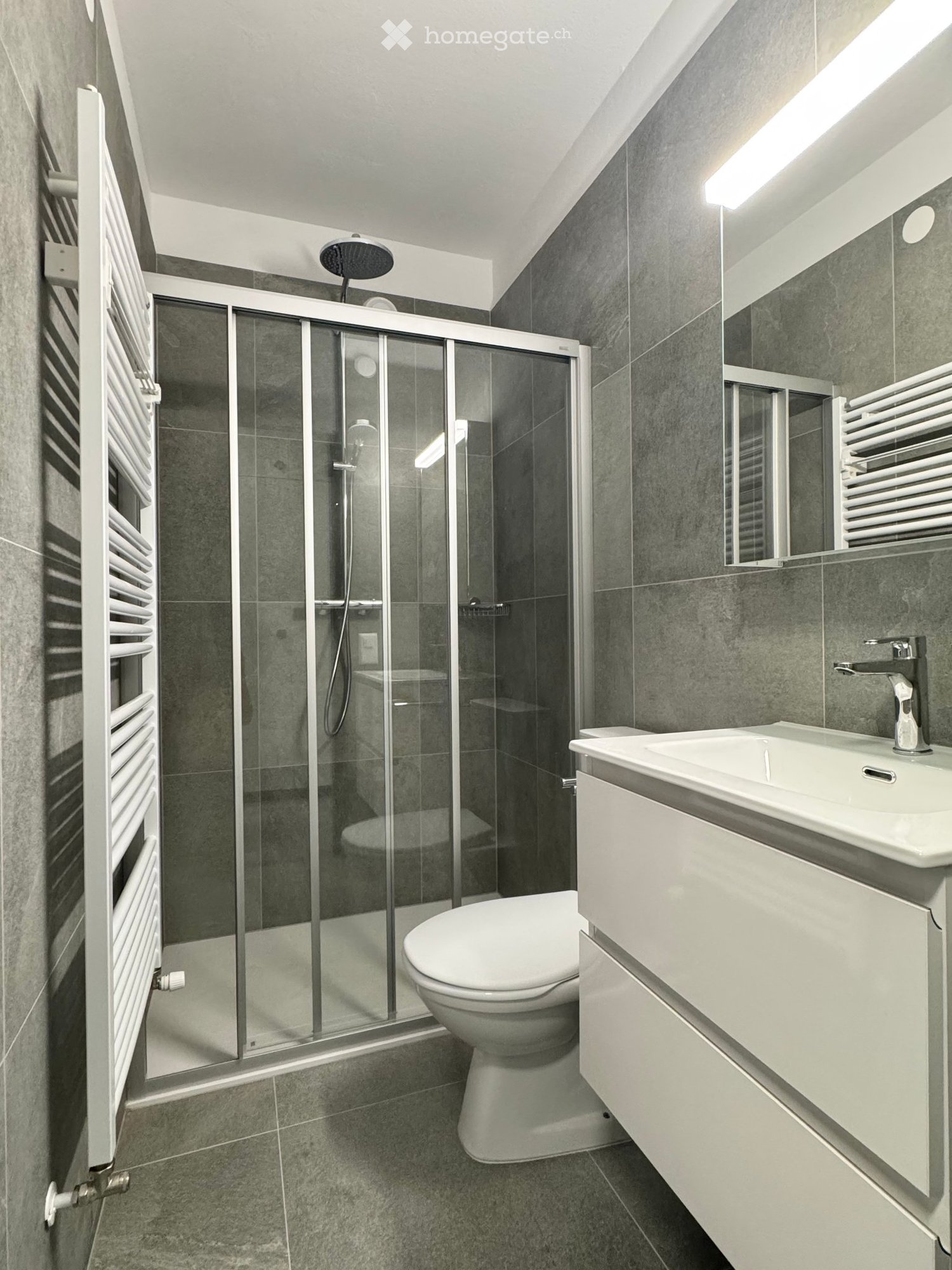 4 ½ Zimmer Wohnung