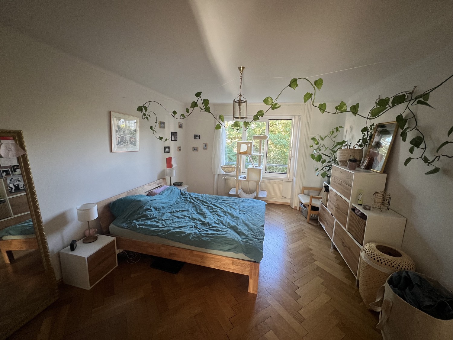 Appartement de 2 ½ pièces