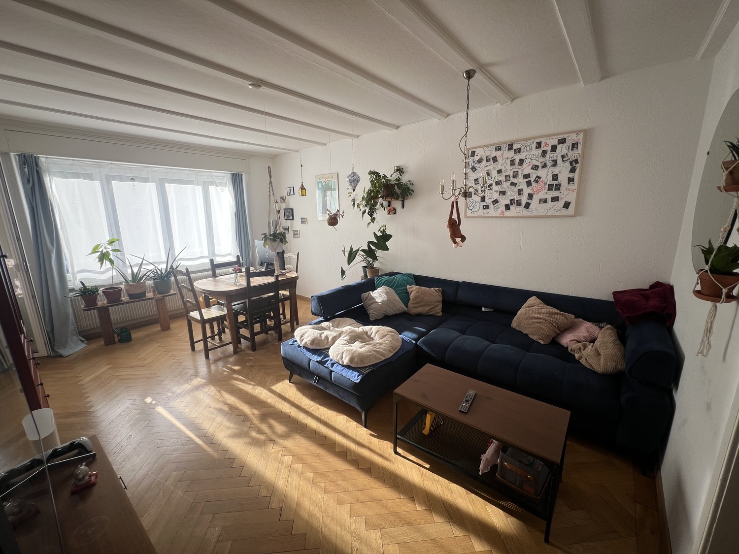 Appartement de 2 ½ pièces