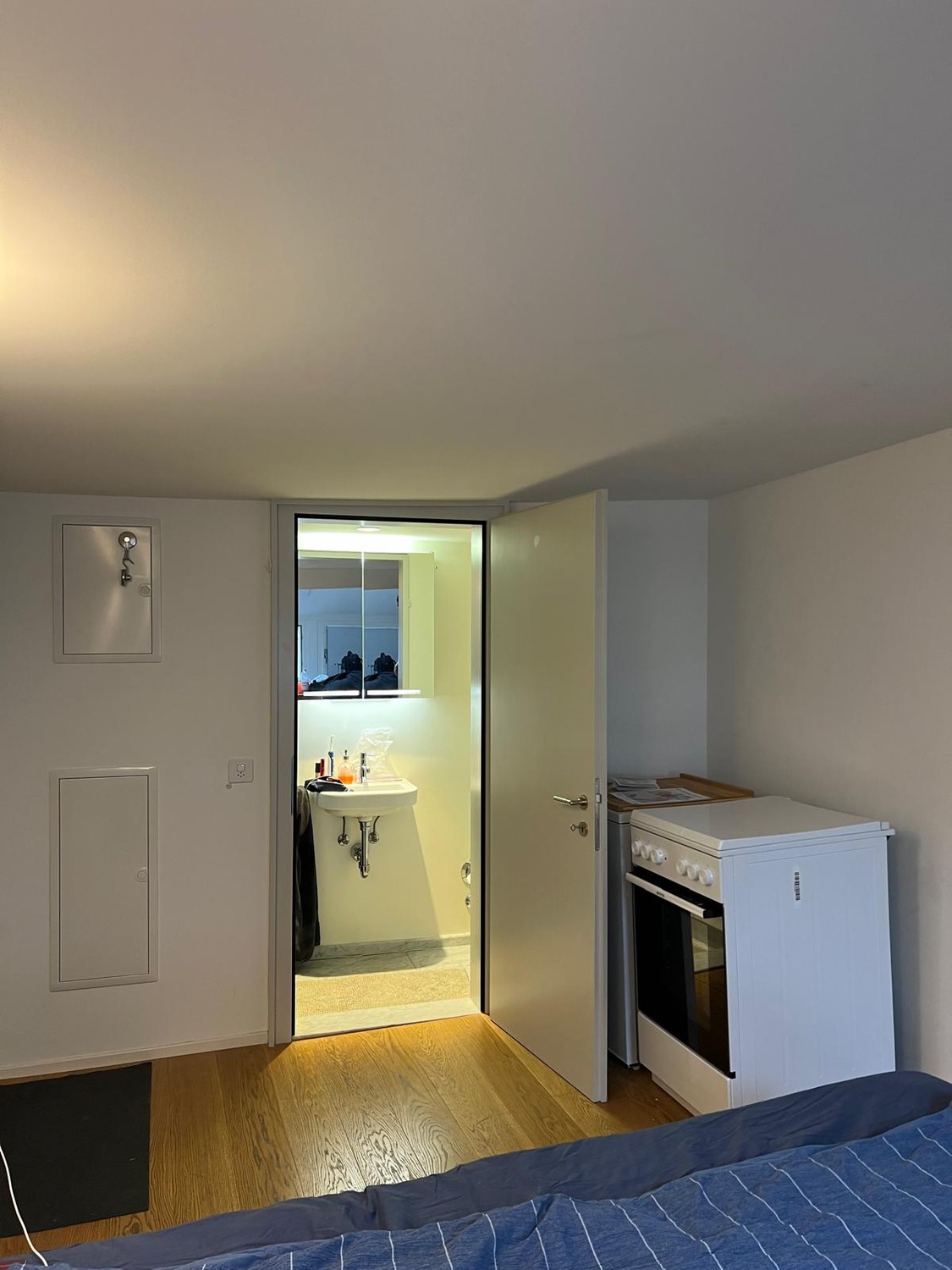 Appartement 1 pièce