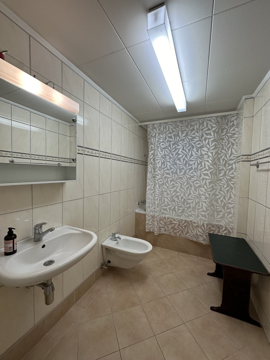 4 ½ Zimmer-Wohnung