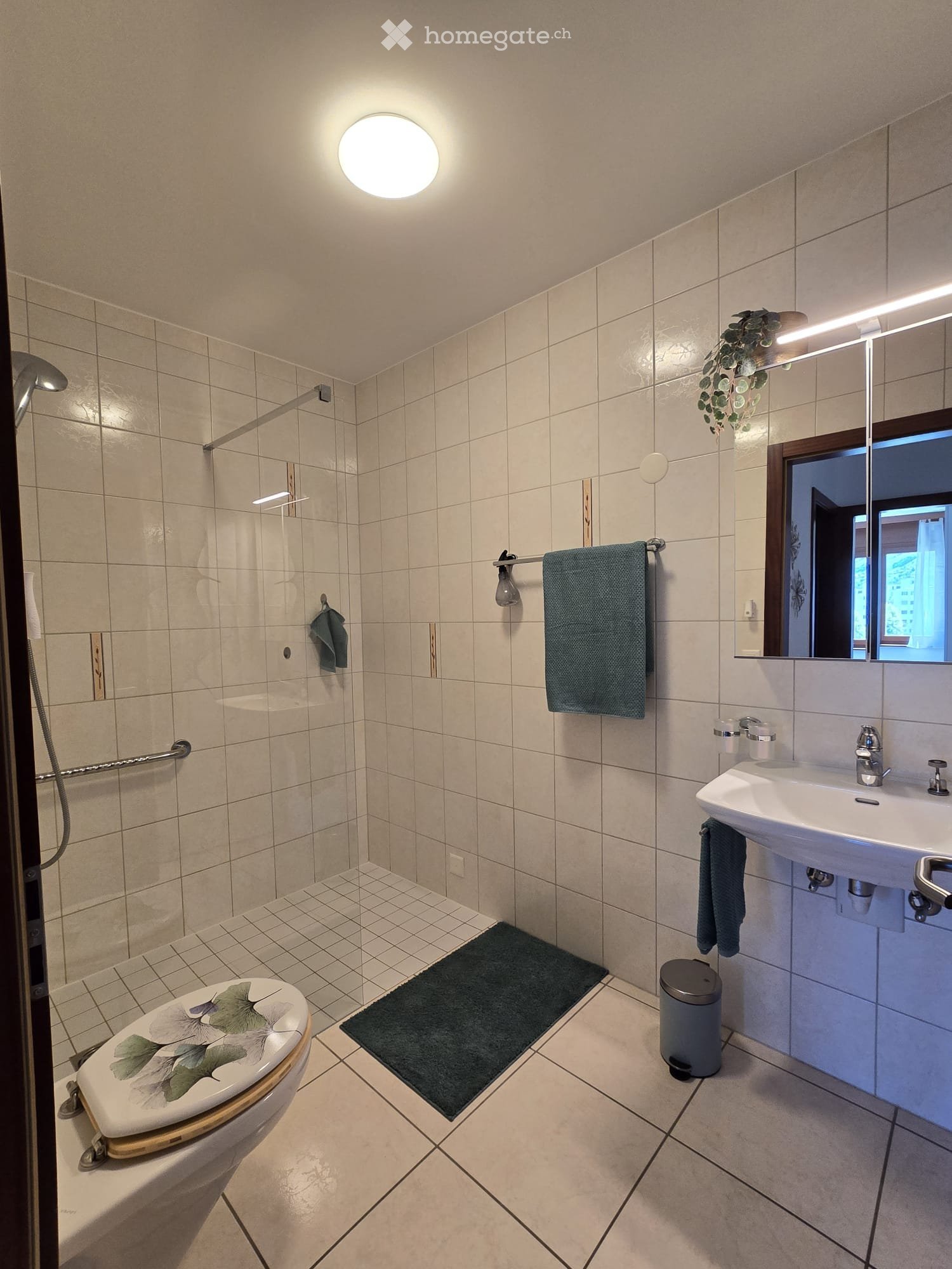 3 ½ Zimmer Wohnung