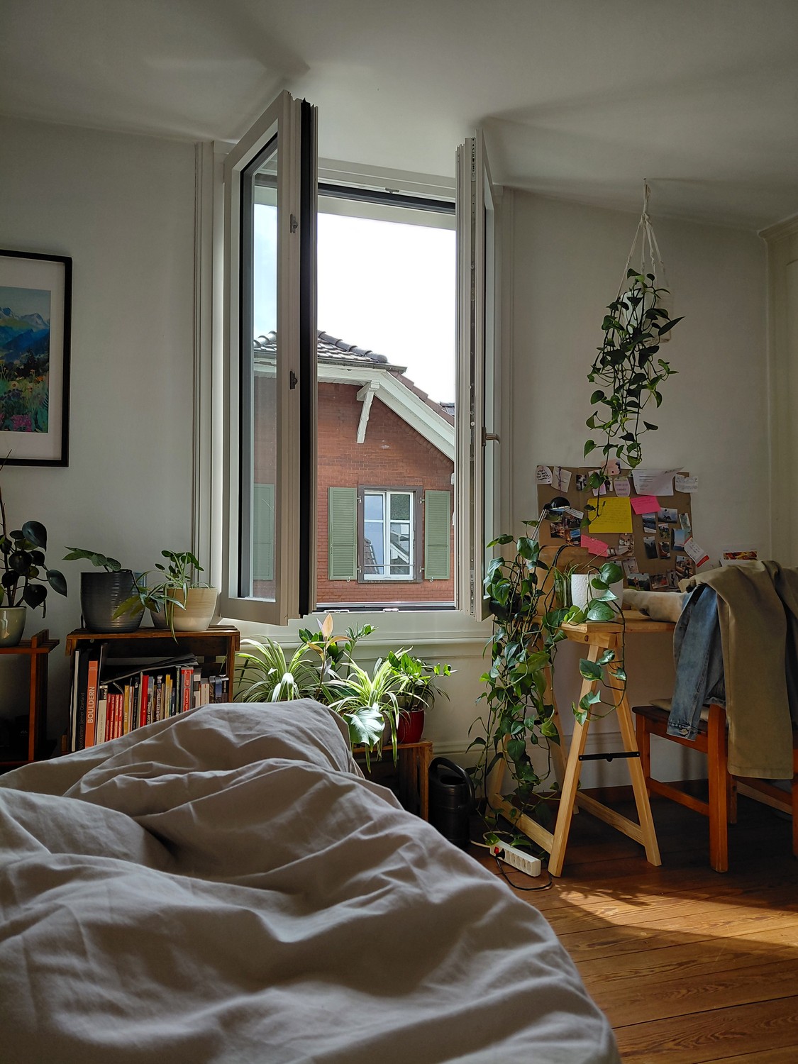 Room in a shared flat