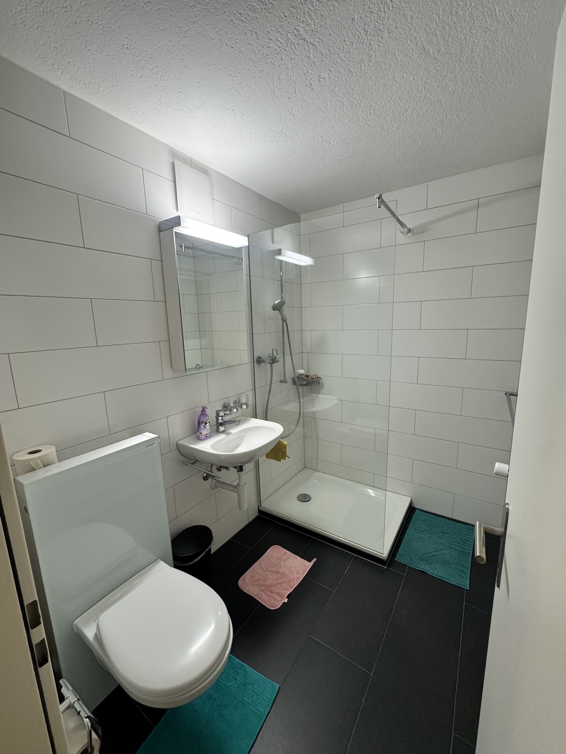 Appartement de 1 ½ pièces
