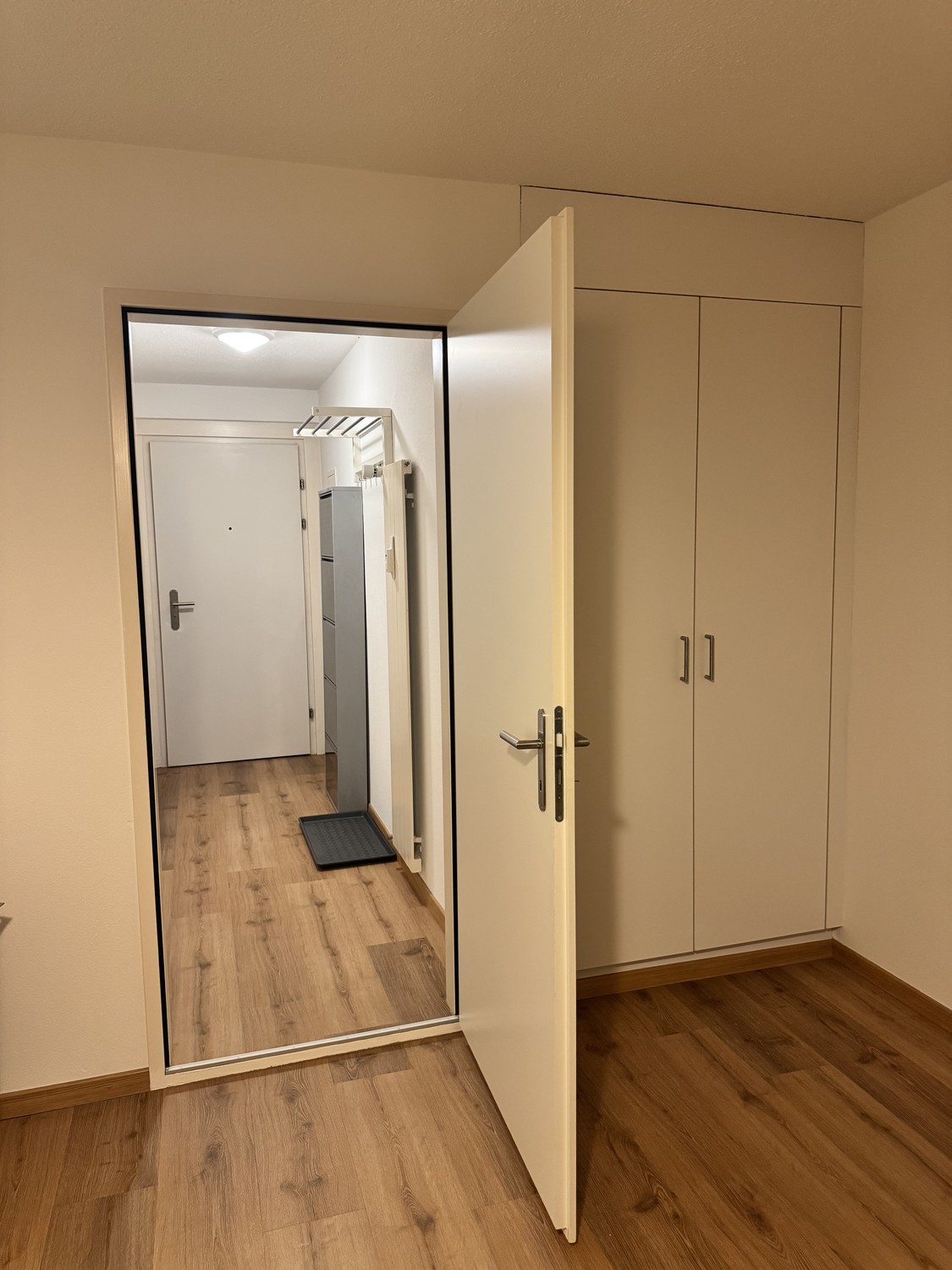 Appartement de 1 ½ pièces