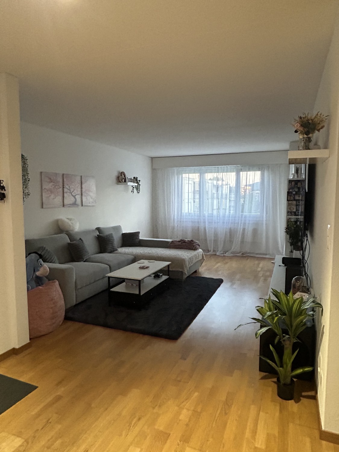 4 ½ rooms apartment