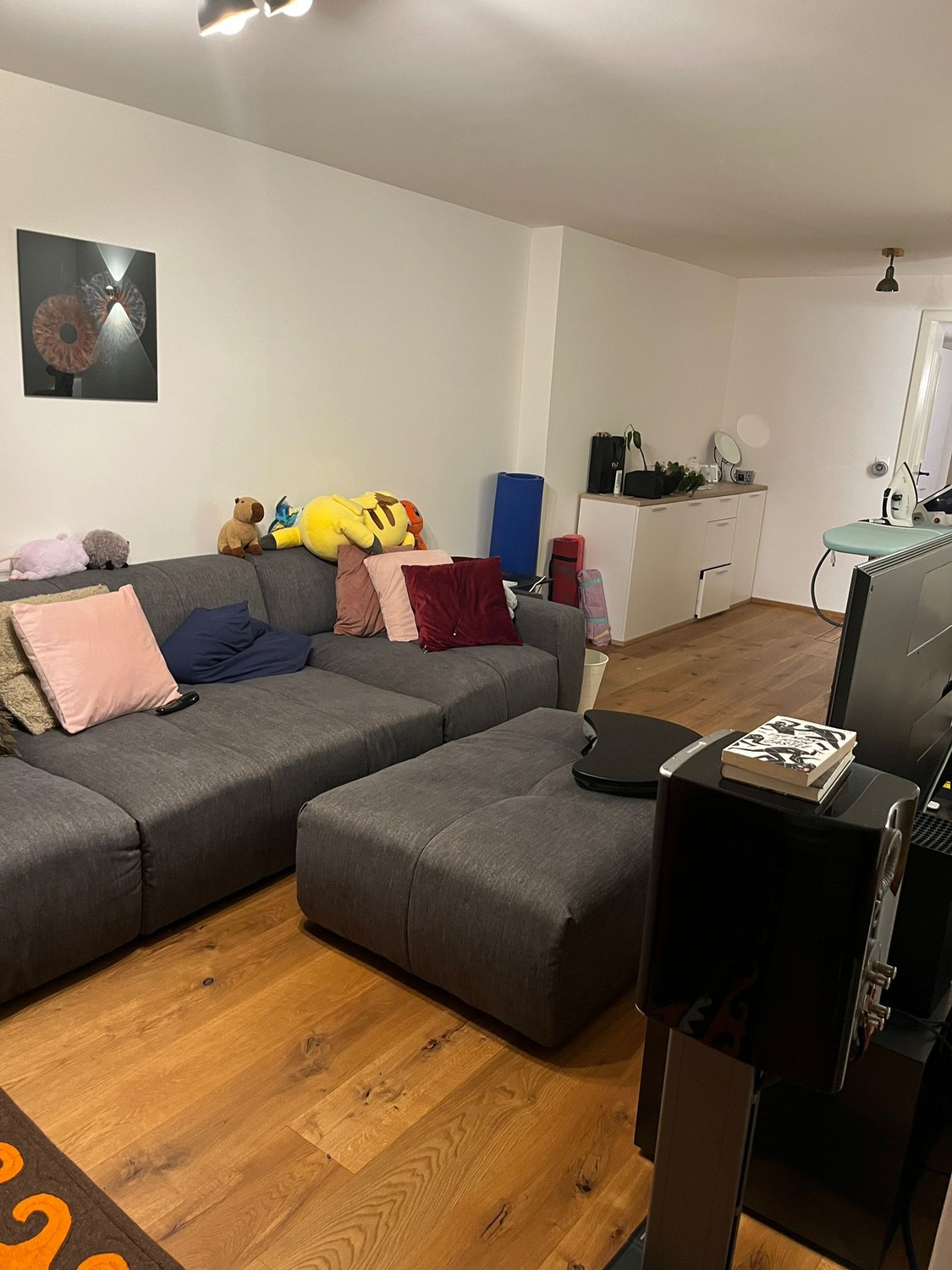 Room in a shared flat