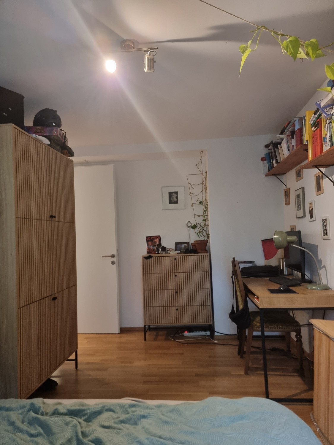Stanza in un appartamento condiviso