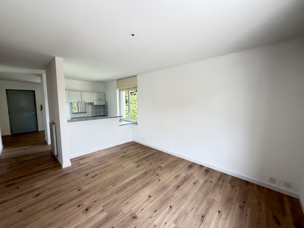 3 ½ Zimmer Wohnung