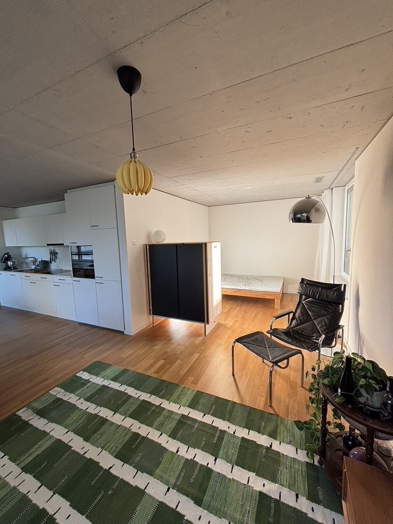 Appartement d'une pièce