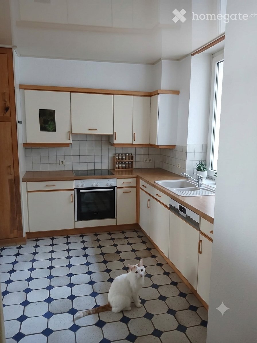 Appartamento di 3 ½ locali