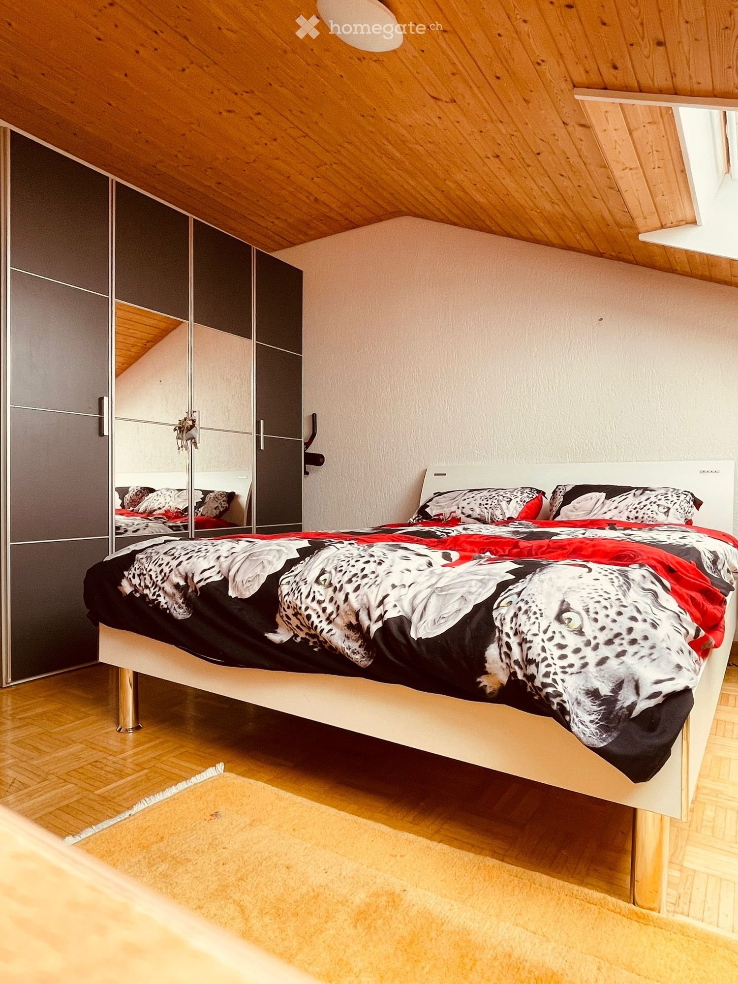 1 room single room