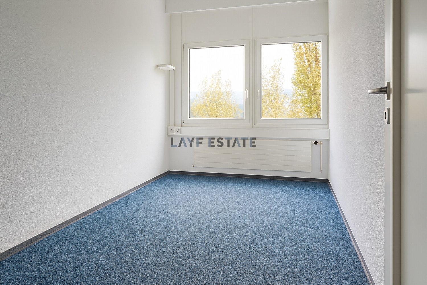 567m² bureau