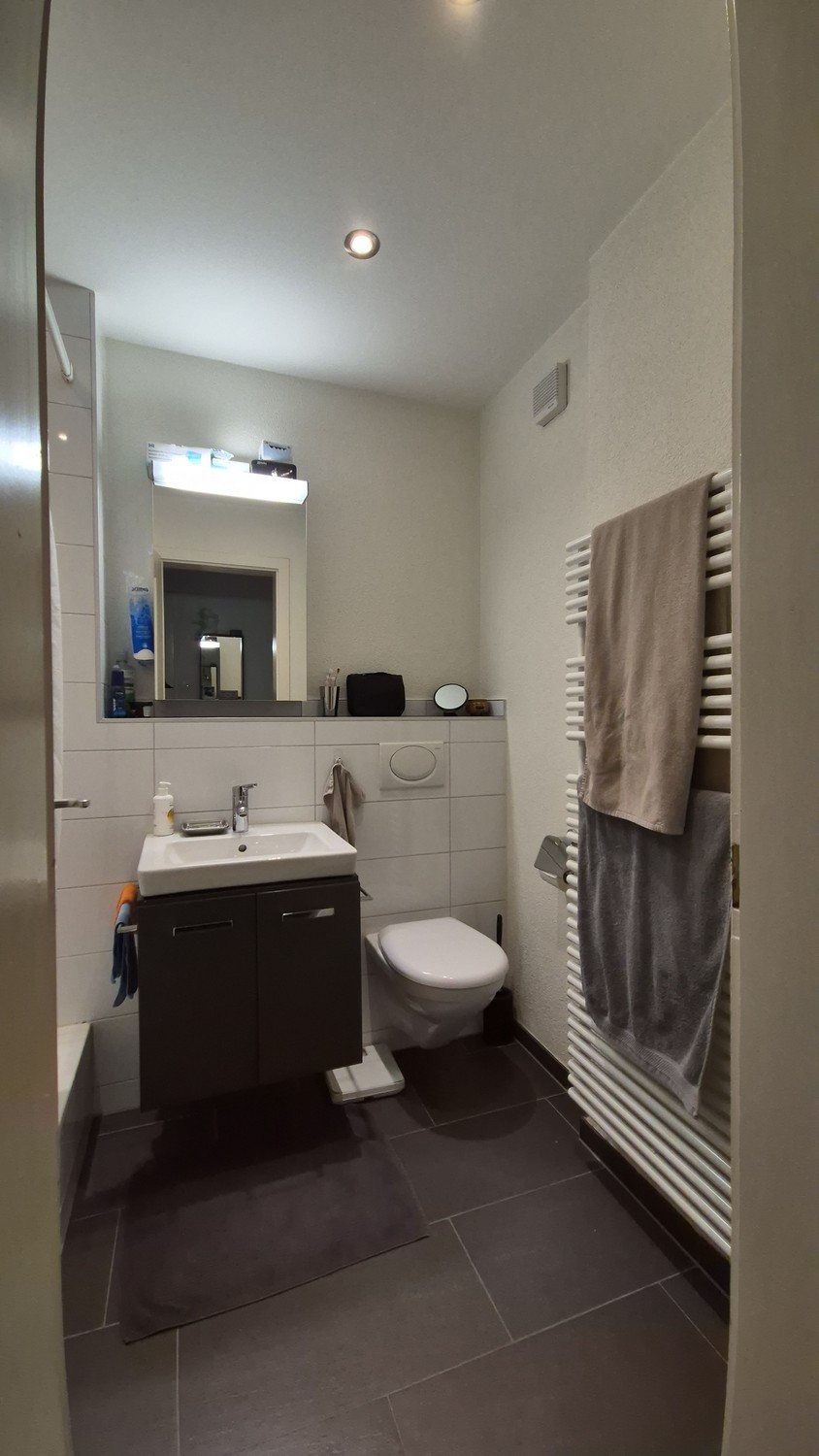 Appartement d'une pièce