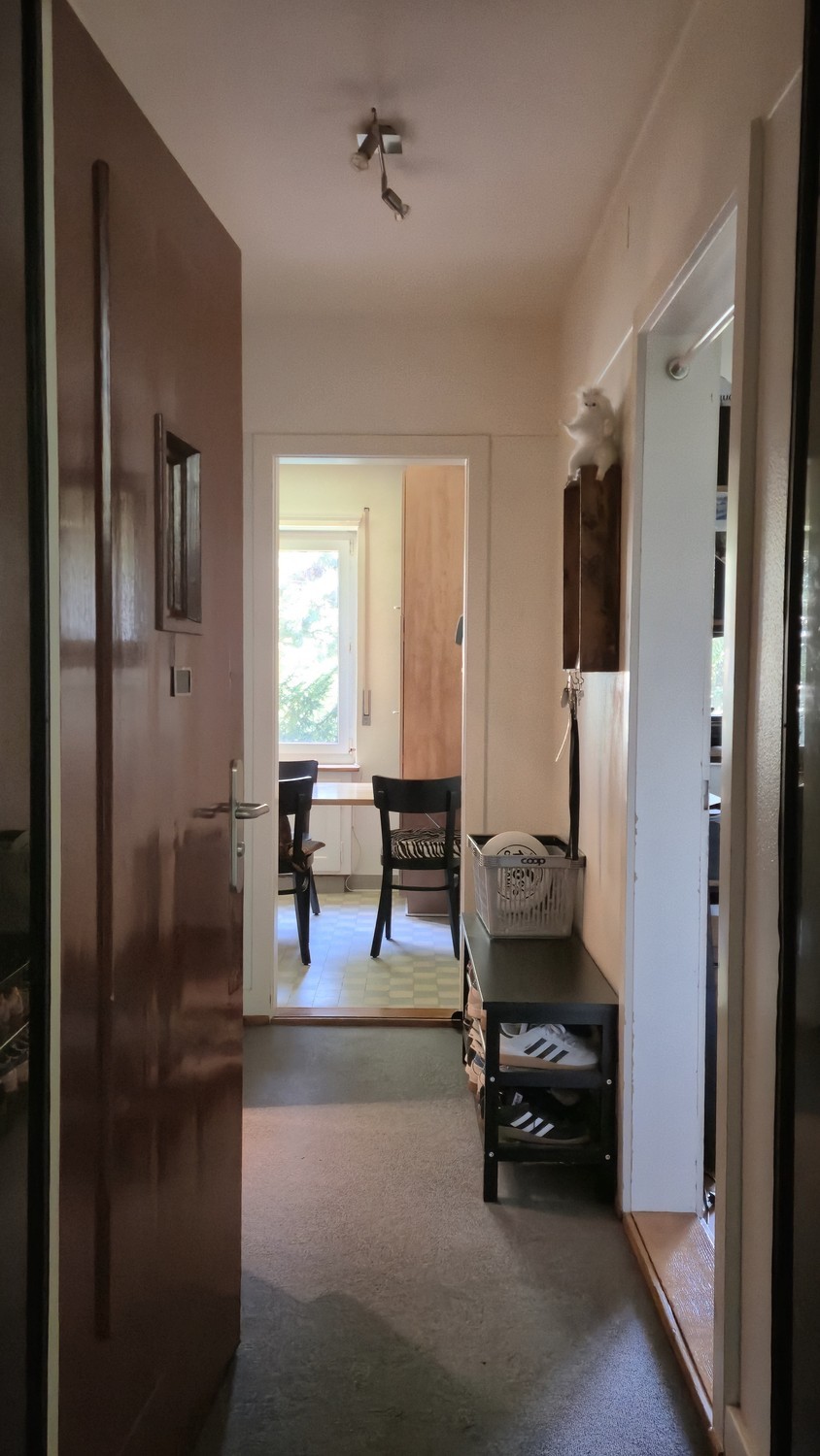 Appartement d'une pièce