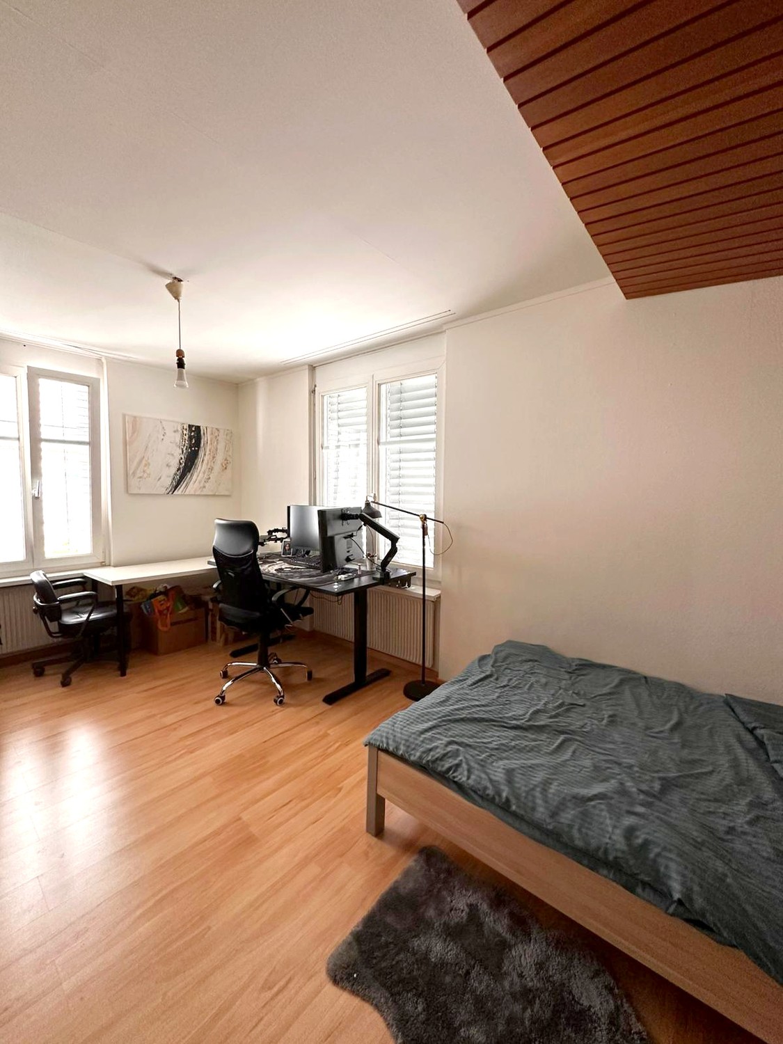Room in a shared flat