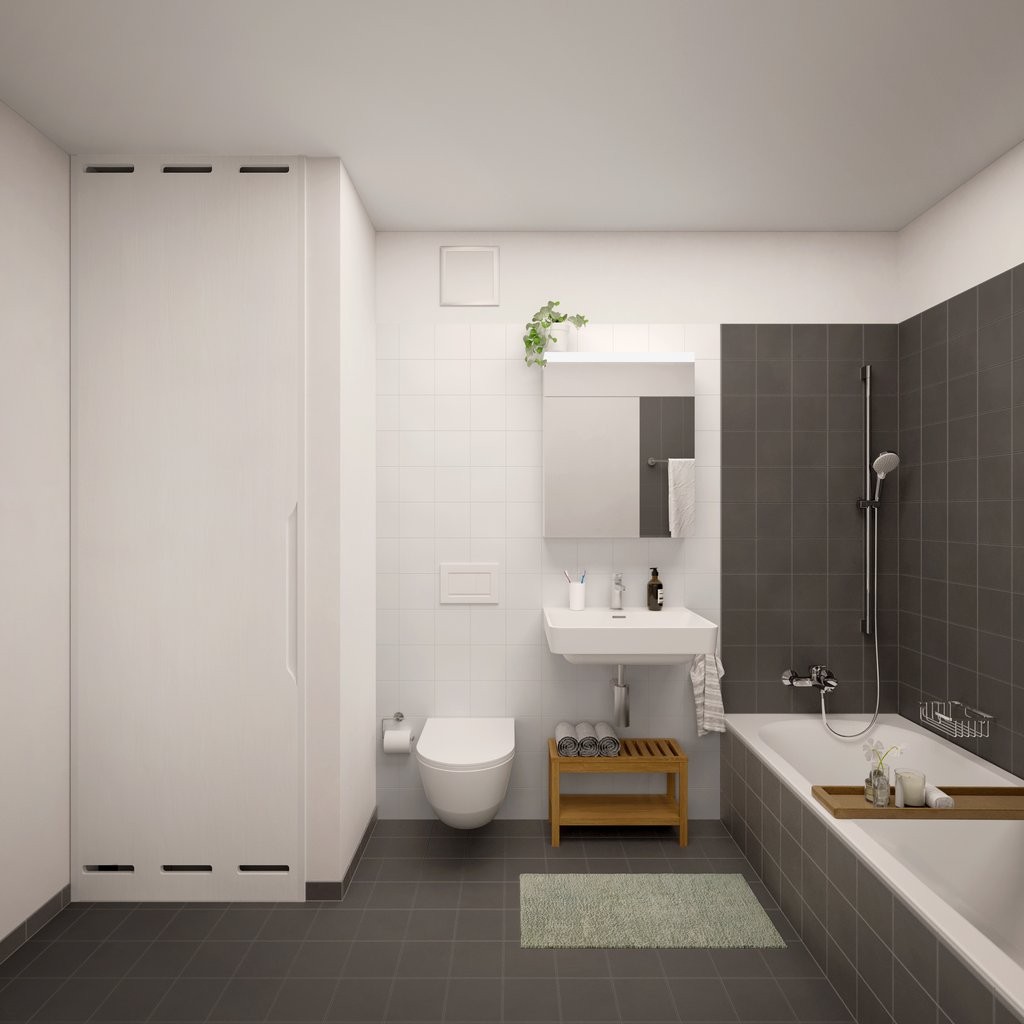 2 ½ rooms apartment