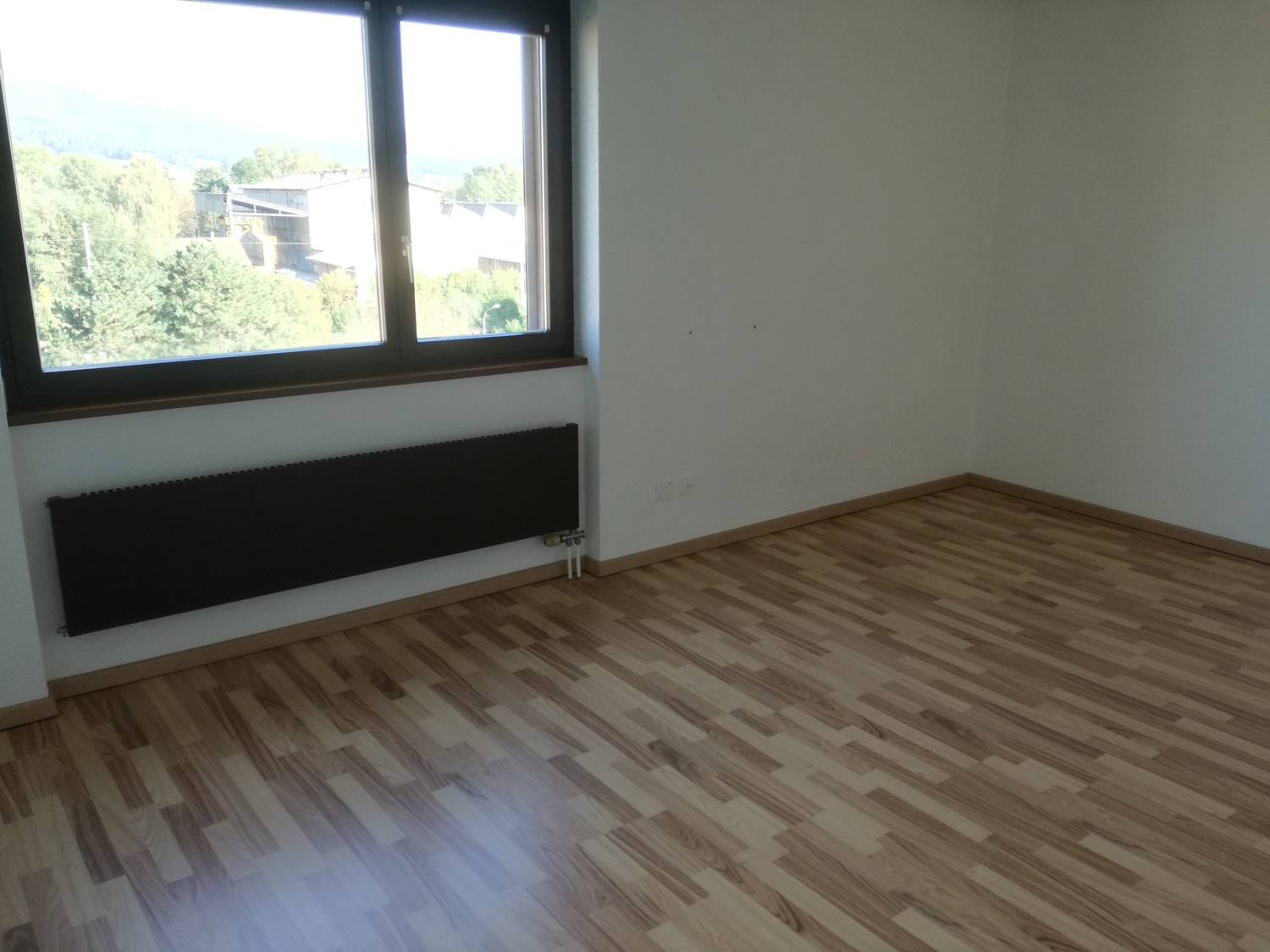 4 ½ Zimmer-Wohnung