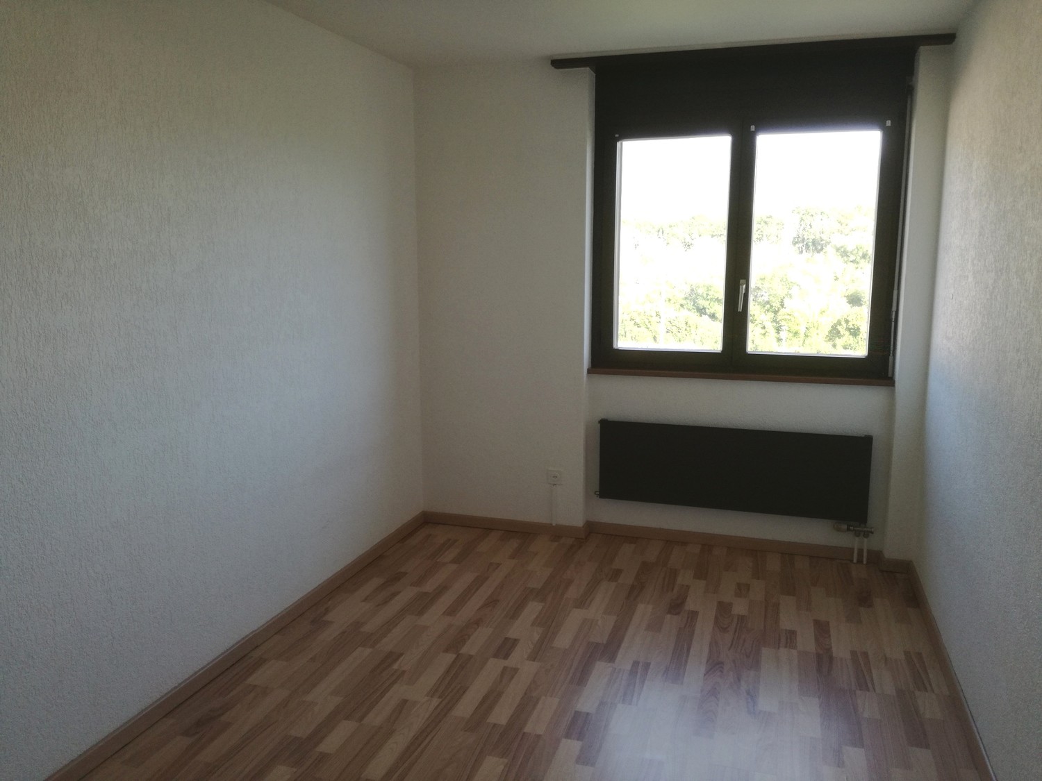 4 ½ Zimmer-Wohnung