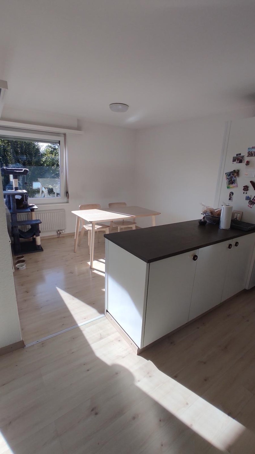 Appartement de 3 ½ pièces
